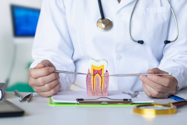 Best Pediatric Emergency Dentist in East Lansing, MI